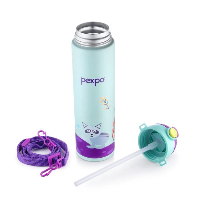 Pexpo Pixy Art Hot and Cold Water Bottle - Image 16