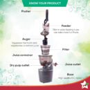 Wonderchef Regalia Cold Press Full Fruit Slow Juicer