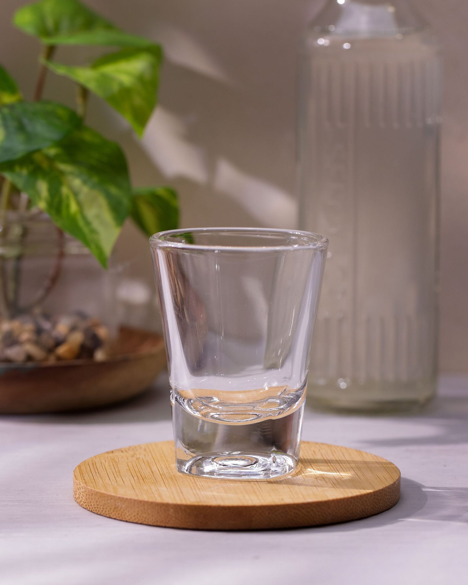 Solo Shot Glasses, 60ml, Set of 12 - Image 3