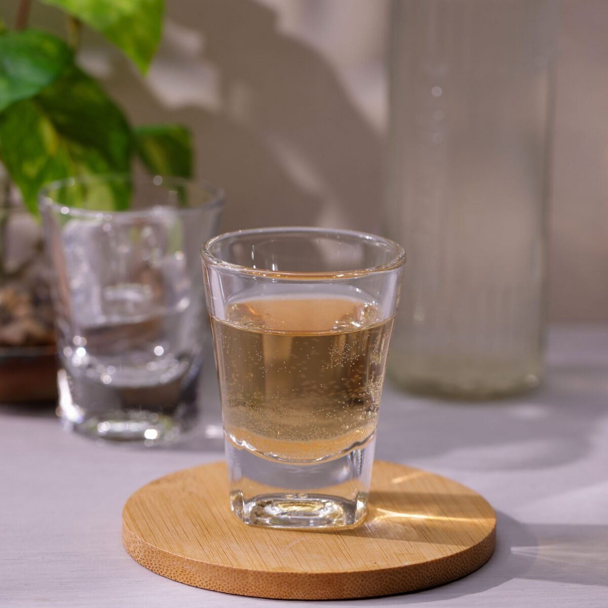 Solo Shot Glasses, 60ml, Set of 12