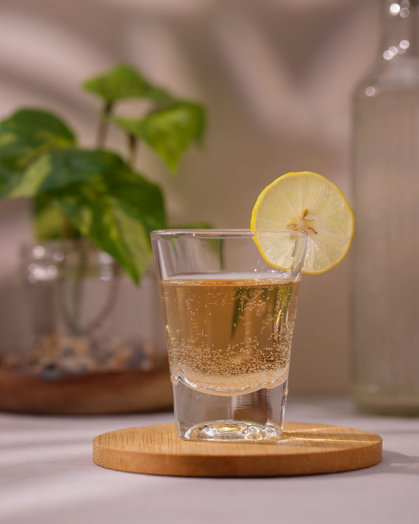 Solo Shot Glasses, 60ml, Set of 12 - Image 2